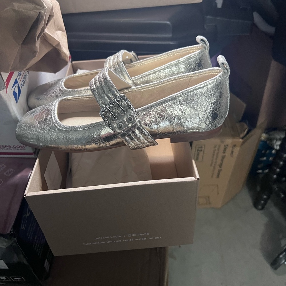 Dolce Vita Arora Silver Flats with Buckle
